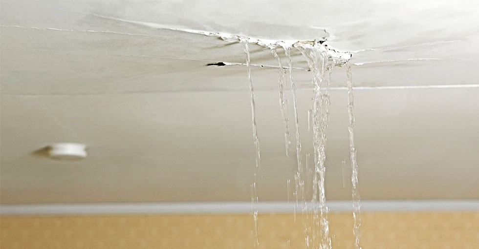 Water Leak Inside a Wall? Here’s How You Can Find It
